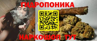 jwh Бийск