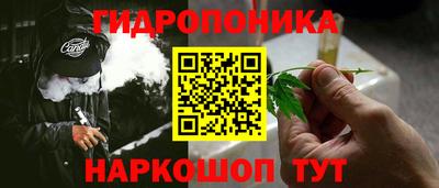 jwh Бийск