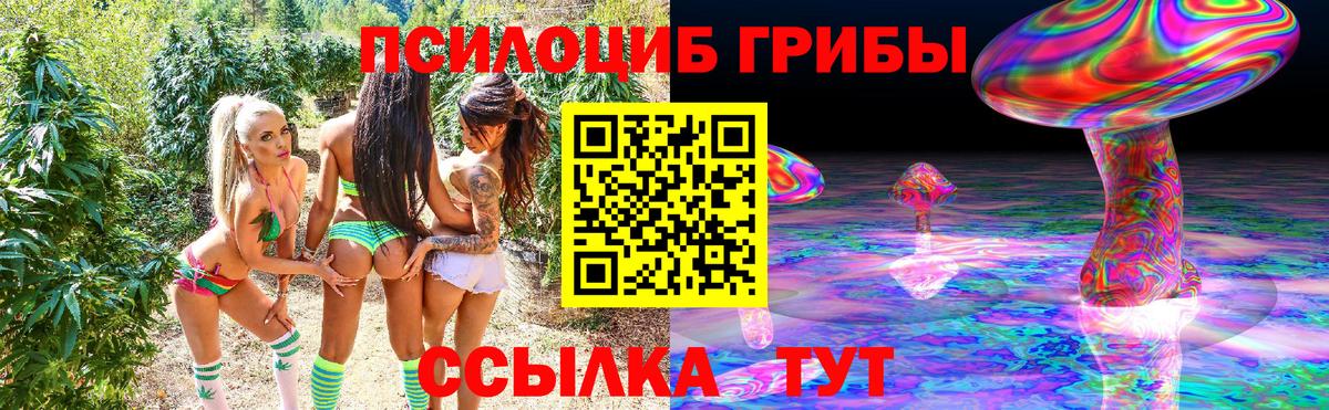 Псилоцибиновые грибы Cubensis Кировск