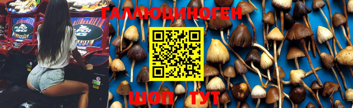 Кировск  Псилоцибиновые грибы Magic Shrooms  Галлюциногенные грибы MAGIC MUSHROOMS  Вход с VPN 